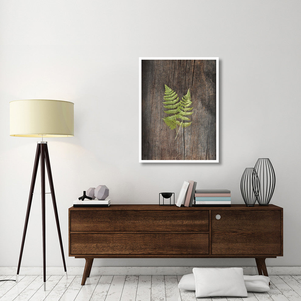 "Woodland Fern II" Digital Paper Print by Sue Schlabach, 32"x42"