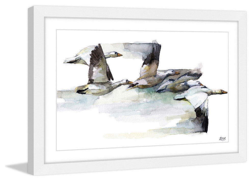"Heading South" Framed Print by Rachel Byler