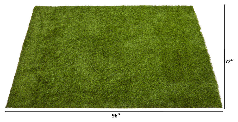 6ï¿½ x 8ï¿½ Artificial Professional Grass Turf Carpet UV Resistant (Indoor/Outdoor)