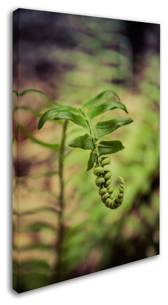 PIPA Fine Art 'Growth of the Forest Floor' Canvas Art, 47x30