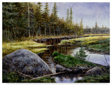 "Adirondack Gold" by John Morrow, Canvas Art, 47"x35"