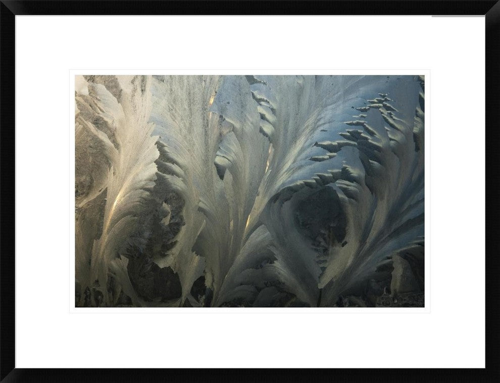 Frost Crystal Patterns On Glass, Ross Sea, Antarctica, 24"x18"