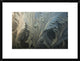Frost Crystal Patterns On Glass, Ross Sea, Antarctica, 24"x18"