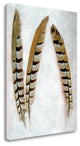 "Feather - 1" By Alan Blaustein, Giclee Print on Gallery Wrap Canvas