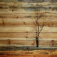 "Tree Stands Alone" Print on Natural Pine Wood, 40"x40"
