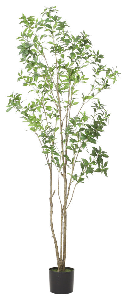 Purling Artificial Pieris Tree, Green, 39.4 Wx39.4 Dx82.7 H