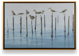 "Noonday Escapade" - A Moment of Seaside Serenity