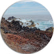Beautiful Azores Rocky Coast, Seashore Round Wall Art, 11"