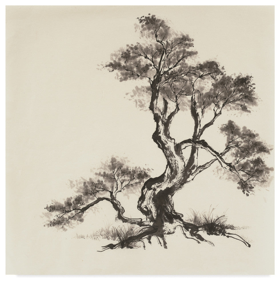Chris Paschke ''Sumi Tree I'' Canvas Art, 24"x24"