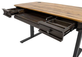Executive Electric Sit/Stand Desk With Solid Plank Top, Brown