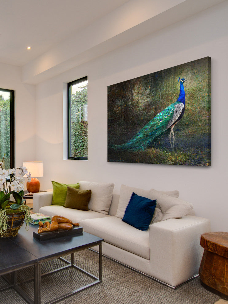 "Jungle Stream Peacock" Print on Canvas by Chris Vest