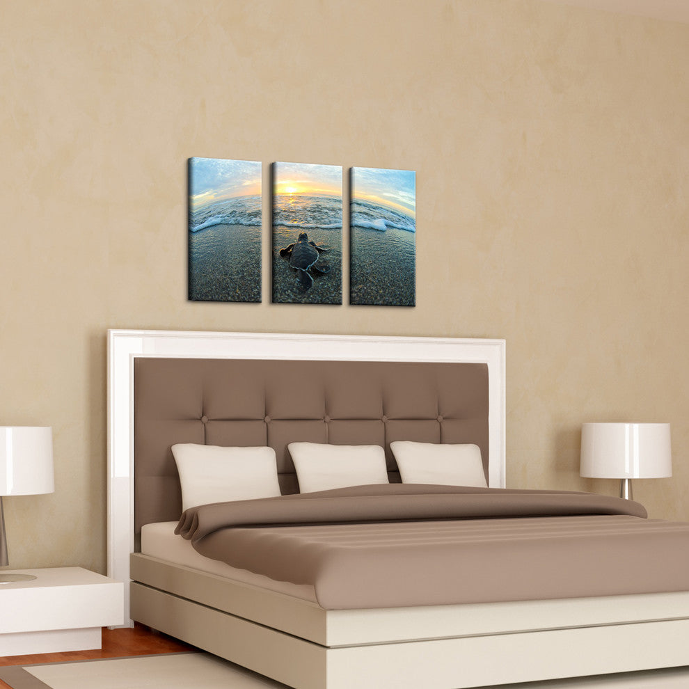 Ready2hangart Christopher Doherty Photography 'Turtle' 3-PC Canvas Art Set