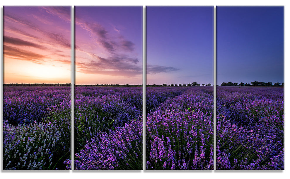 Beautiful Lavender Flowers At Sunset, Floral Canvas Art Print, 48"x28", 4 Panels
