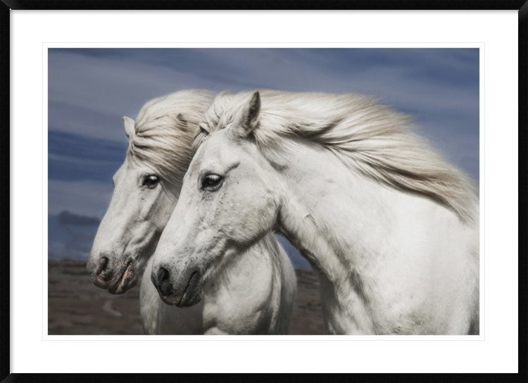 "Blowing" Framed Digital Print by Bragi Ingibergsson, 44x32"