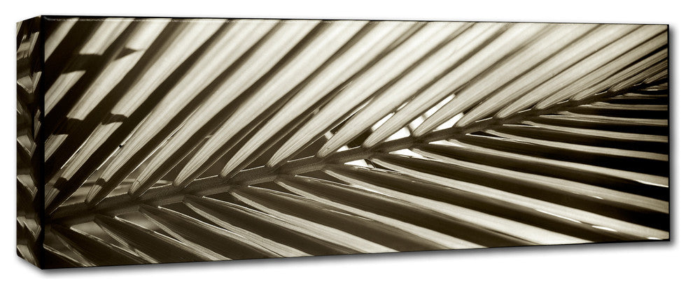 Alan Blaustein ''Florison 100'' Canvas Art, 24x8