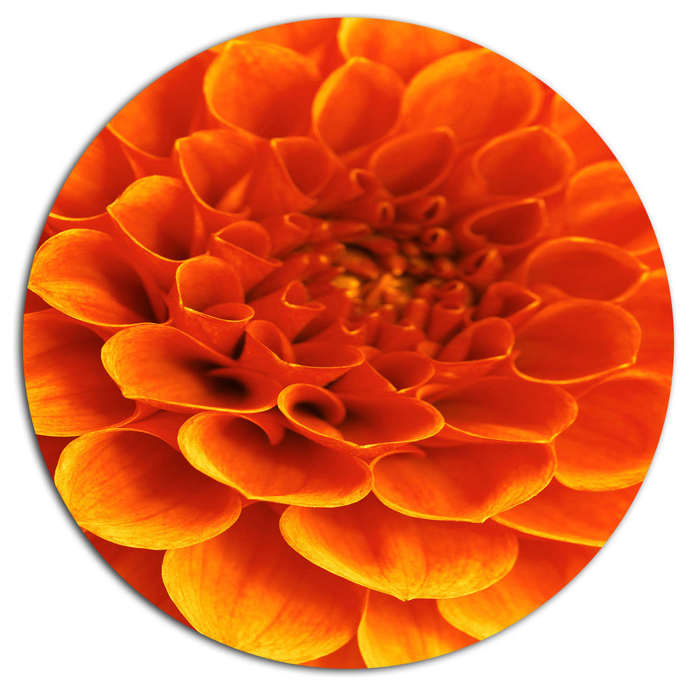 Orange Abstract Flower And Petals, Modern Floral Round Wall Art, 11"