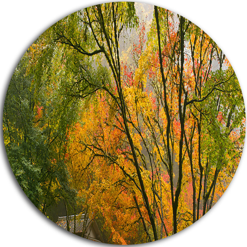 Canopy Of Maple Trees In Fall, Floral Photo Round Wall Art, 23"