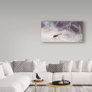 Thierry Dufour 'In The Forest Of Feathers' Canvas Art, 19"x10"