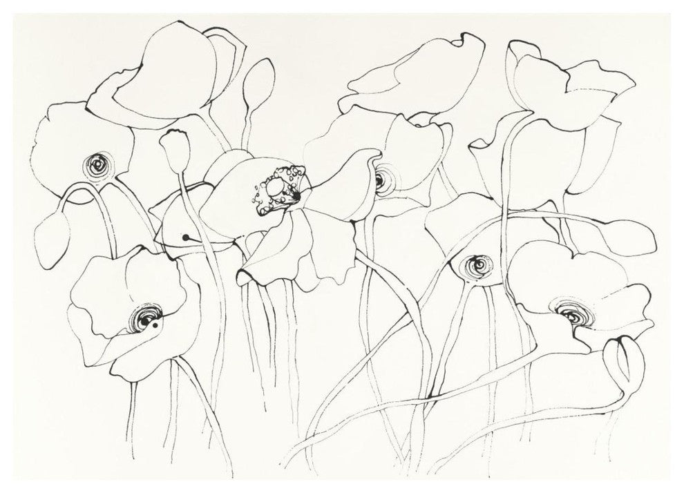 "Black Line Poppies III" Digital Paper Print by Shirley Novak, 18"x14"