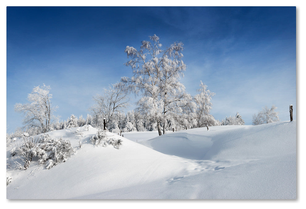 Philippe Sainte-Laudy ''Dressed For Winter'' Canvas Art, 12x19