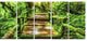 "Moss around Wooden Walkway in Rain" Canvas Photo Print, 5 Panels, 60"x28"