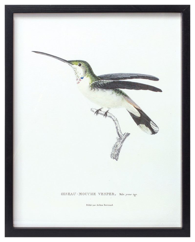 Framed Bird Print, 5-Piece Set