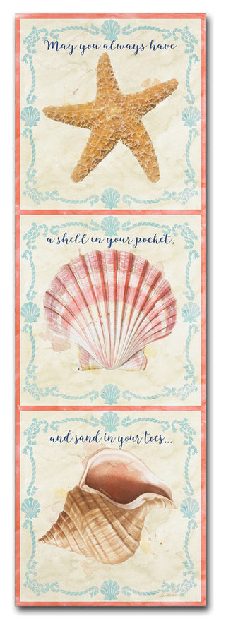 Jean Plout 'Sea Shells 5' Canvas Art, 8x24