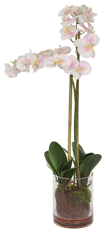 Uttermost 60196 Blush Pink And White Orchid