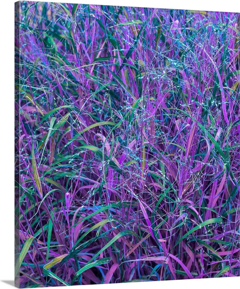 "High Line Fantasy Abstract" Wrapped Canvas Art Print, 32"x36"x1.5"
