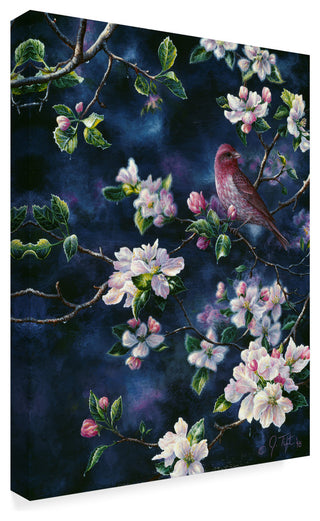 Jeff Tift 'Bird' Canvas Art, 47"x35"