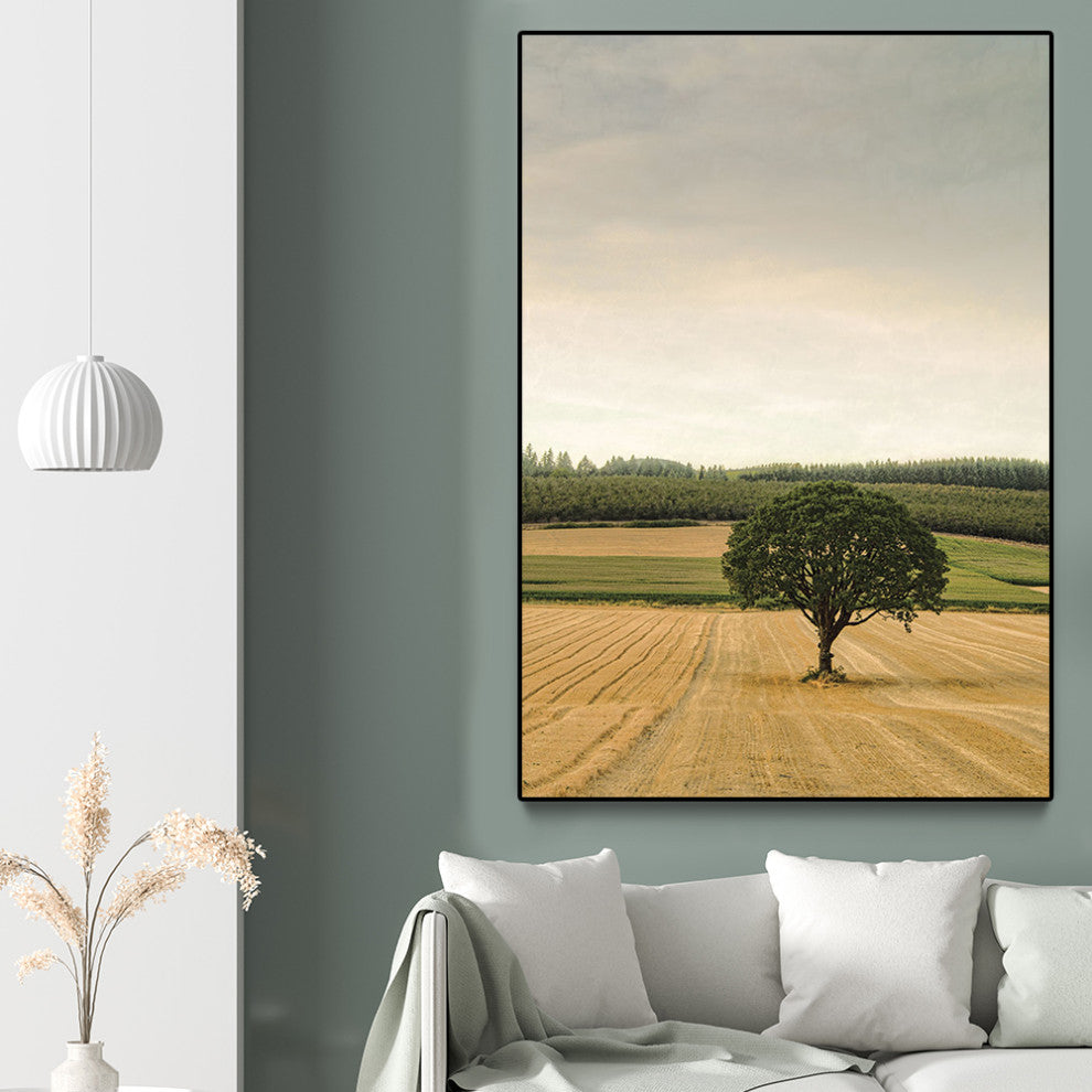 "Lone Tree in an Autumn Field" Oversized Framed Canvas, 60" x 40"