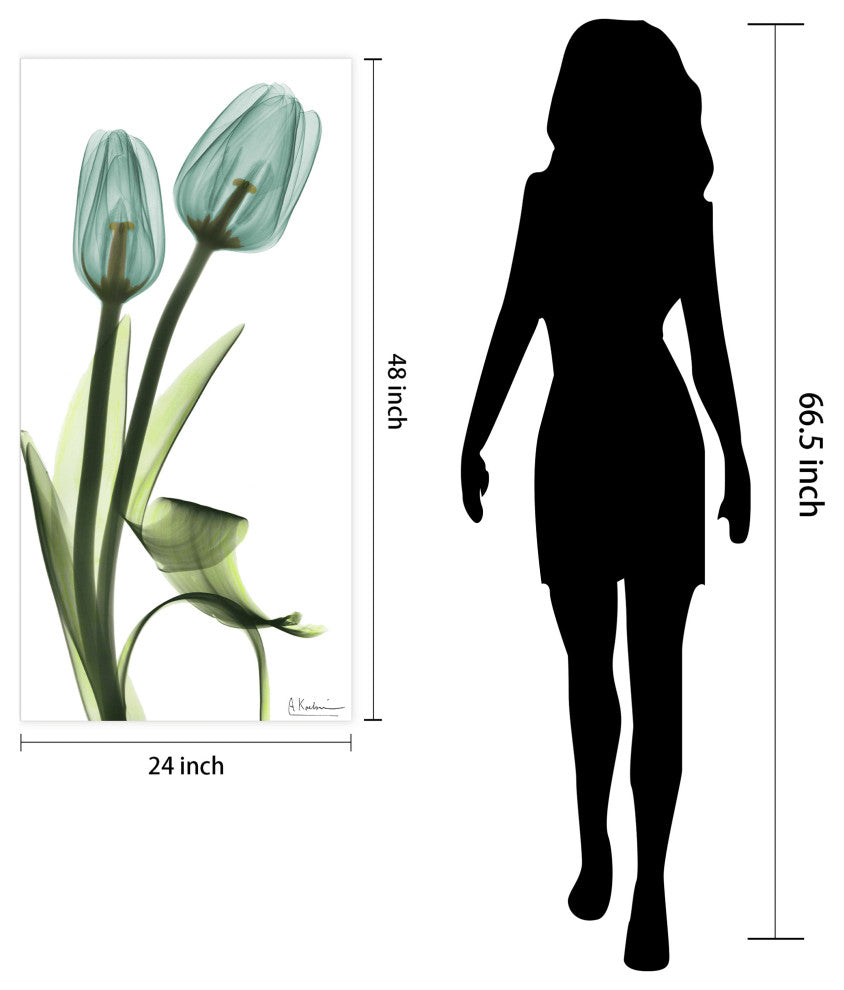 "Blue Tulips" Frameless Free Floating Panel Graphic Wall Art, 24"x48"