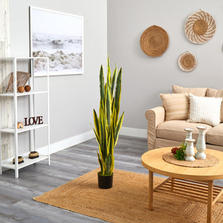 Product shown in a real room environment (lifestyle photo) with full plant visible.