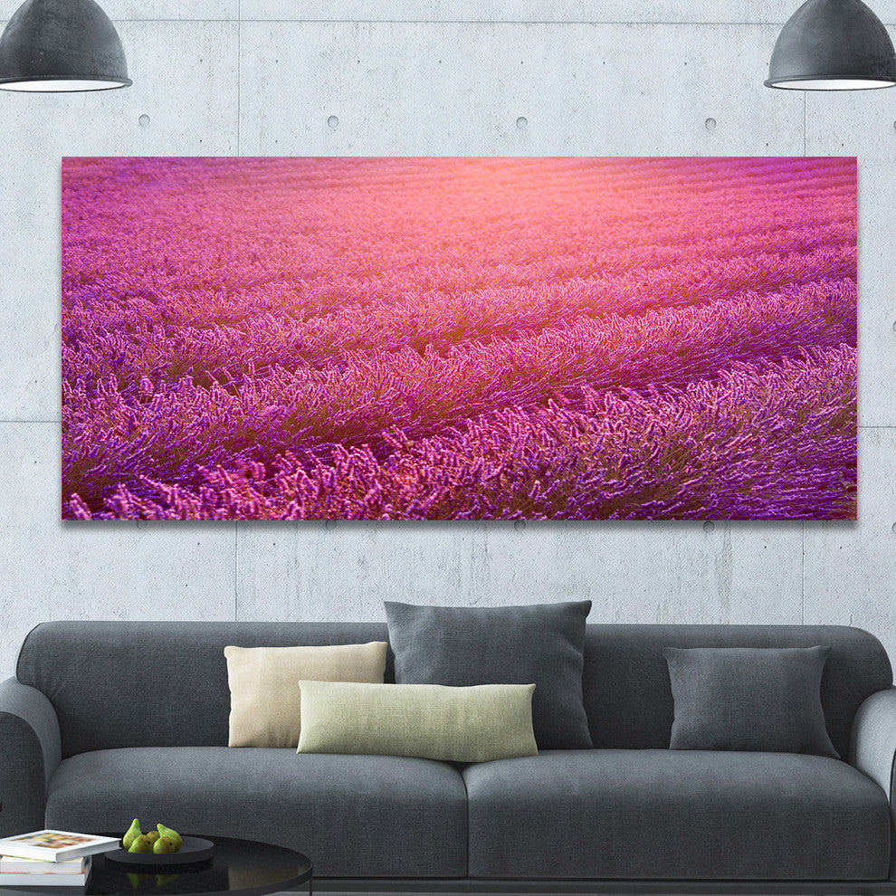Lavender Field and Ray of Light, Large Floral Canvas Art Print, 60"x28"