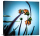 "Flowerlove" Stretched Canvas Giclee by Fgr100, 22"x22"
