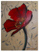 Cherie Roe Dirksen 'Single Red Poppy' Canvas Art, 24"x32"