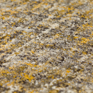 Mateo ME1 Wildflower 8' x 10' Rug