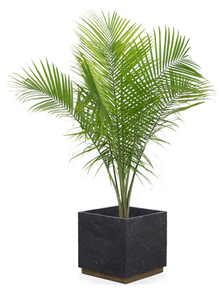Ely Planter-Dark Slate