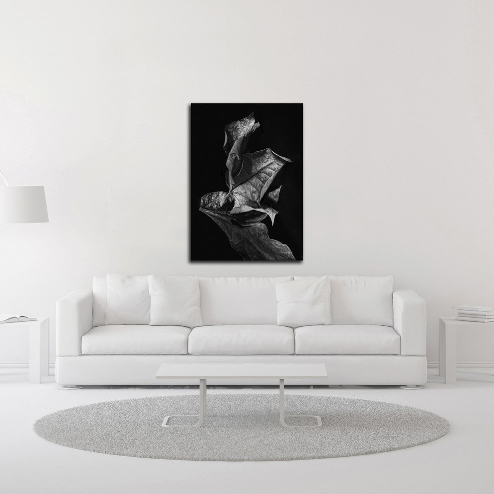 Leaf Composition, Dark by Design Fabrikken, Print on Canvas, 20"x28"