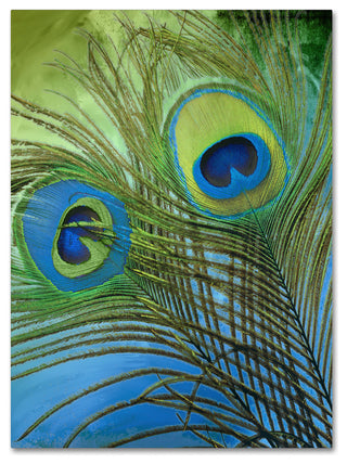 Color Bakery 'Peacock Candy I' Canvas Art, 24"x32"