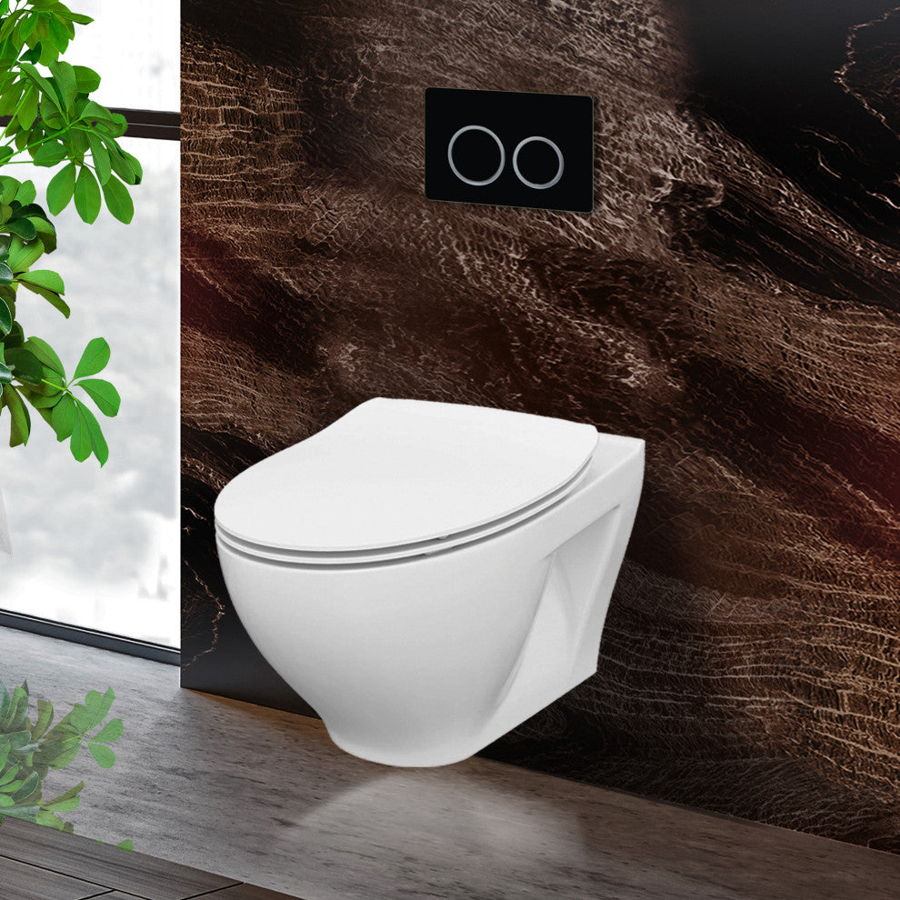 In-Wall Toilet Set, Black Round Actuators, 2"x6" Carrier & Tank