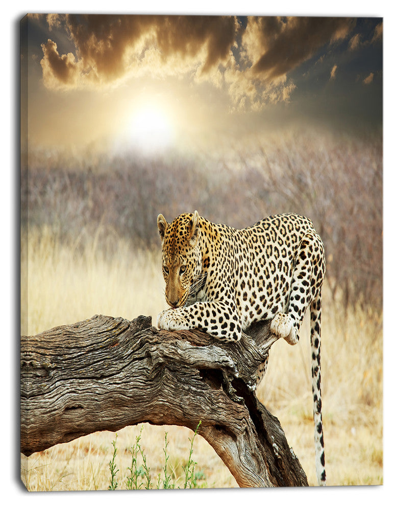 Leopard Relaxing on Tree, African Canvas Art Print, 30"x40"