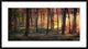 "Autumn Woodland Sunrise" Framed Digital Print by Photokes, 44x24"