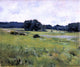 Dennis Miller Bunker Meadow Lands Premium Canvas Print