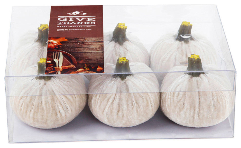 Shows the boxed set of pumpkins; packaging image on white background; best represents the product.