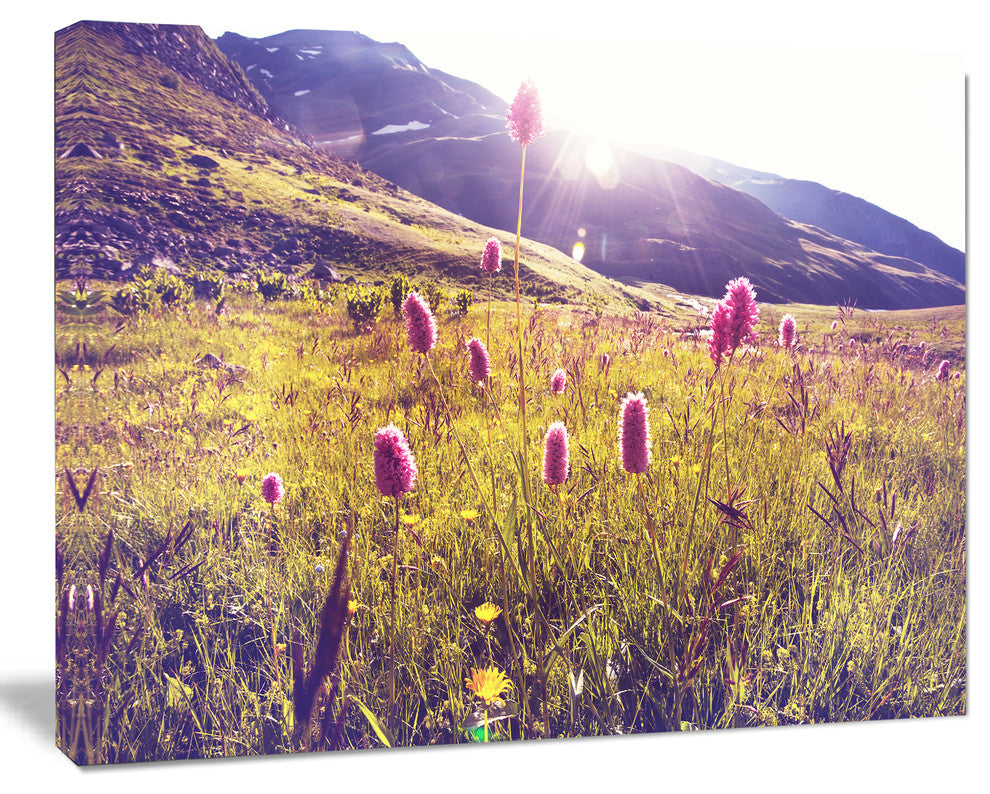 Mountain Pasture with Pink Flowers, Large Flower Canvas Art Print, 40"x30"
