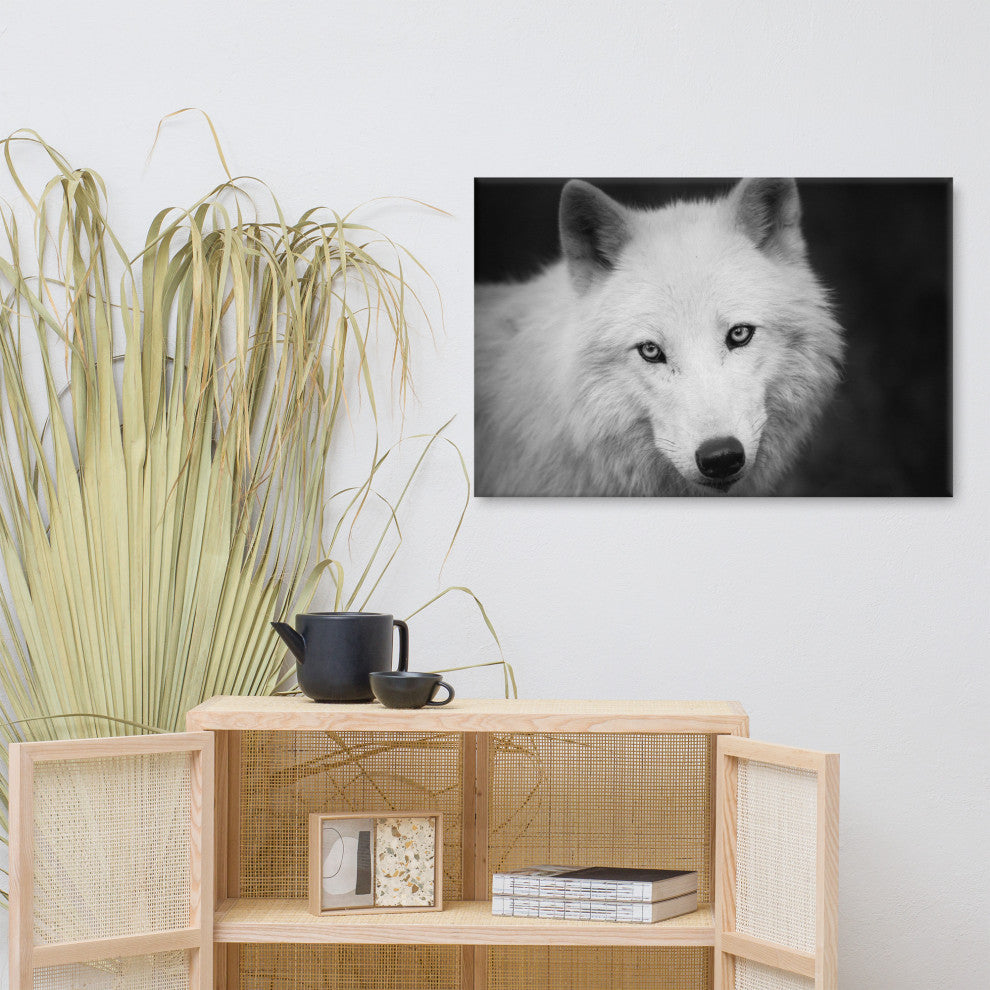 Black and White Portrait of White Wolf Wildlife Photograph Canvas Wall Art Print, 24" X 36"