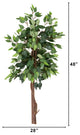 4ft. Artificial Double Trunk Ficus Tree (No Pot)