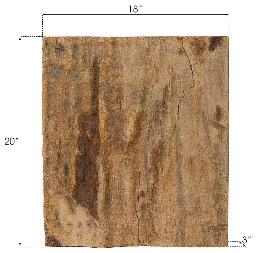 Cast Petrified Wood Wall Decor
