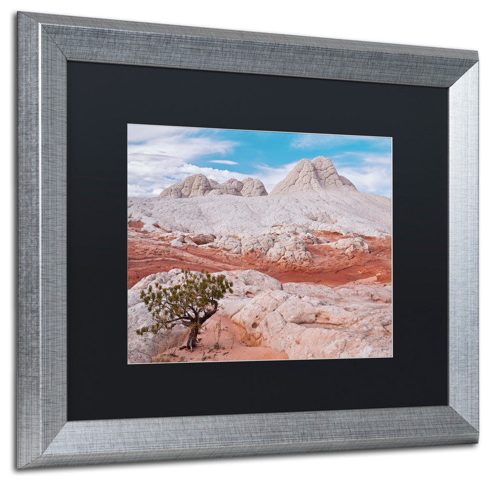 Michael Blanchette 'Tree on Brain Rocks' Art, Silver Frame, Black Mat, 20x16